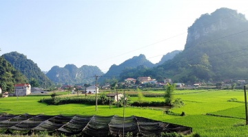 Vietnam